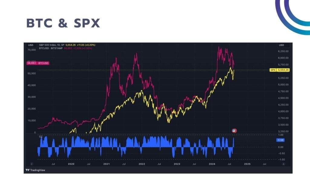 Asset Correlation in Forex and Crypto - Asset Correlation BTC